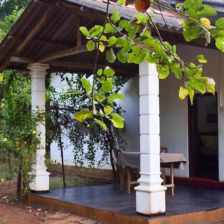 Senu Homestay Sigiriya Eksteriør bilde