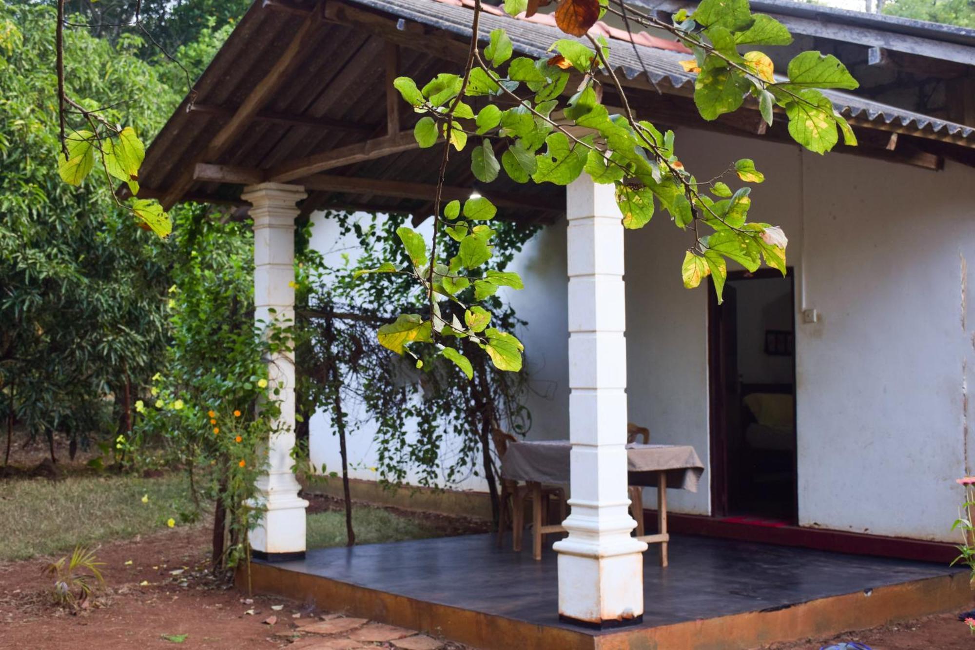 Senu Homestay Sigiriya Eksteriør bilde
